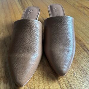 Splendid Tan Pointed Toe Kitten Heel Mule, Size 6. New in Box